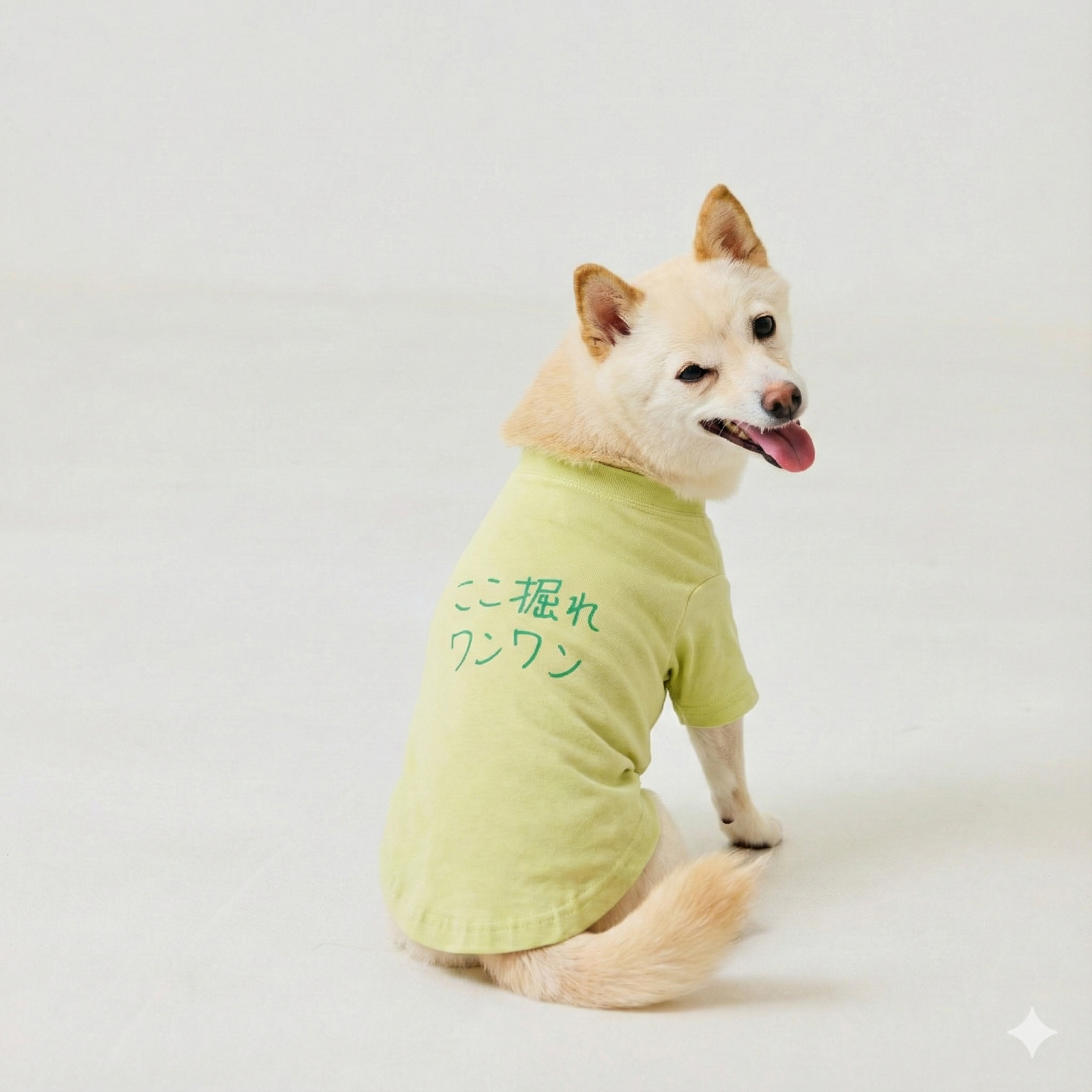 ここ掘れワンワン | ドッグウェア | ハクタカ公式オンラインストア ここ掘れワンワン | ドッグウェア | ハクタカ公式オンラインストア