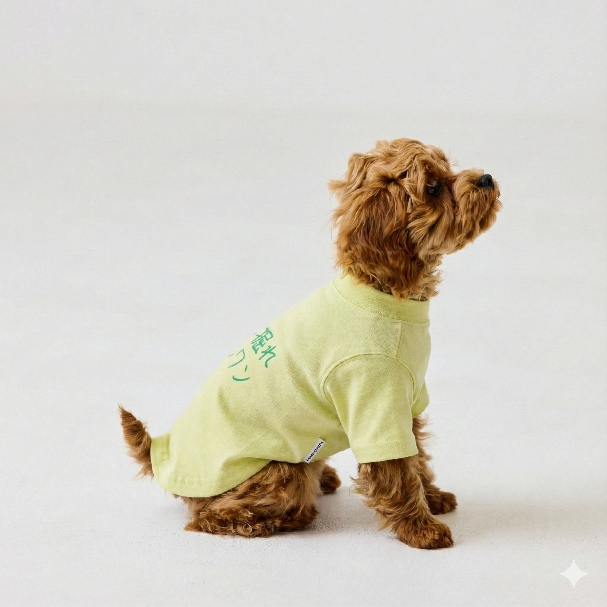 ここ掘れワンワン | ドッグウェア