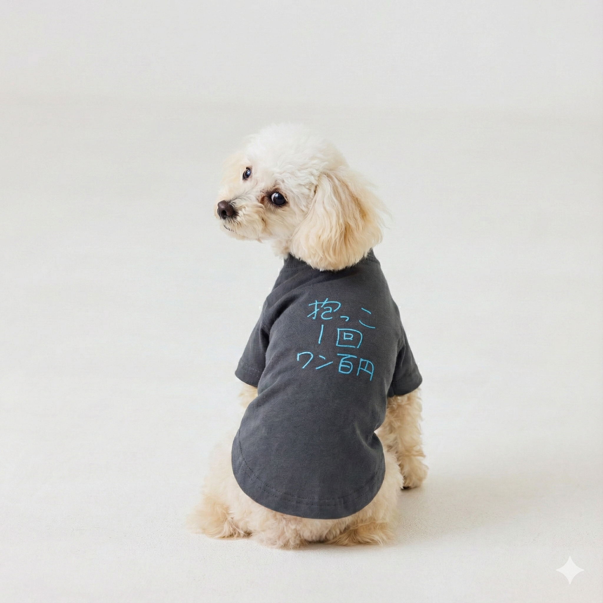 抱っこ1回ワン百円 | ドッグウェア