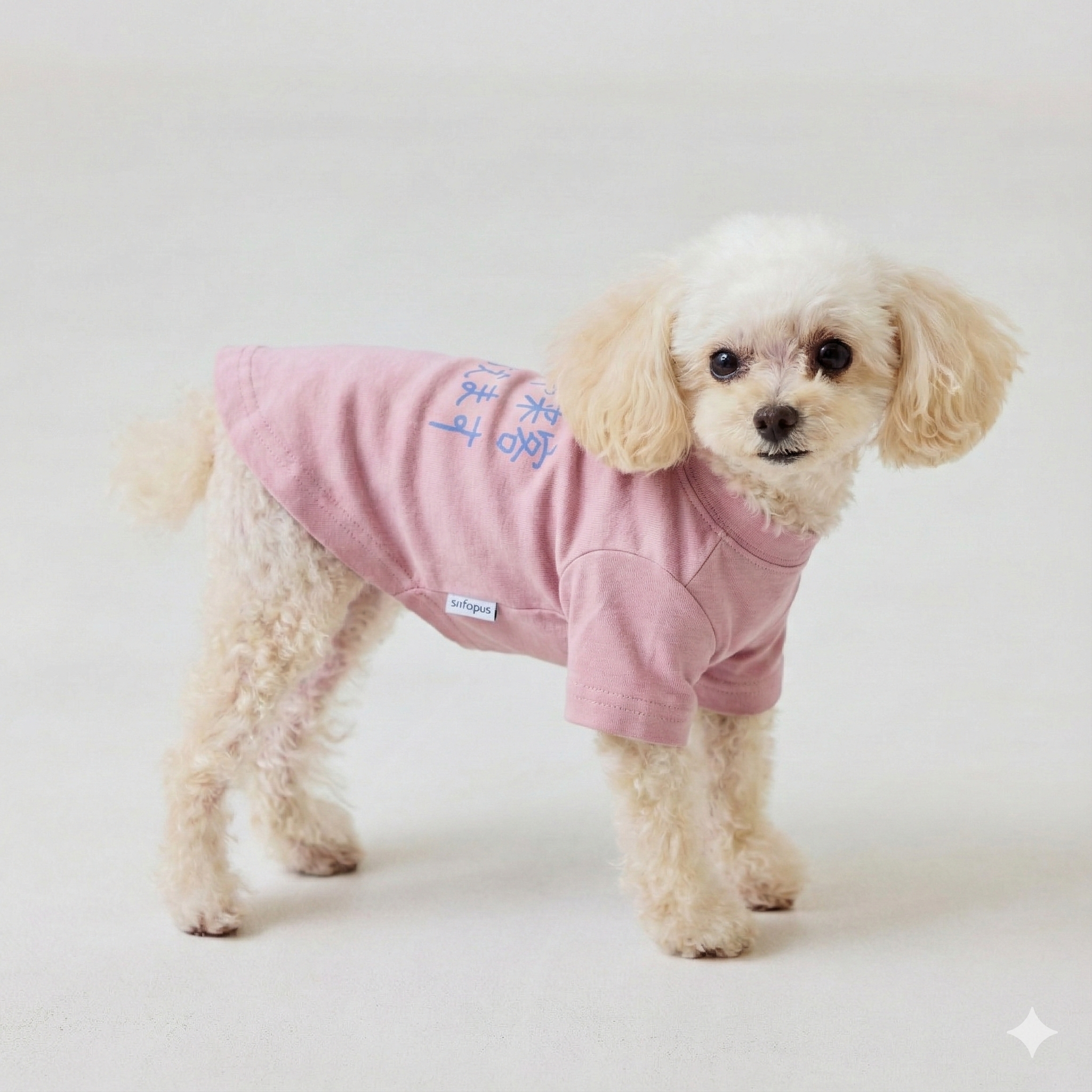 チャイムや来客に吠えます | ドッグウェア