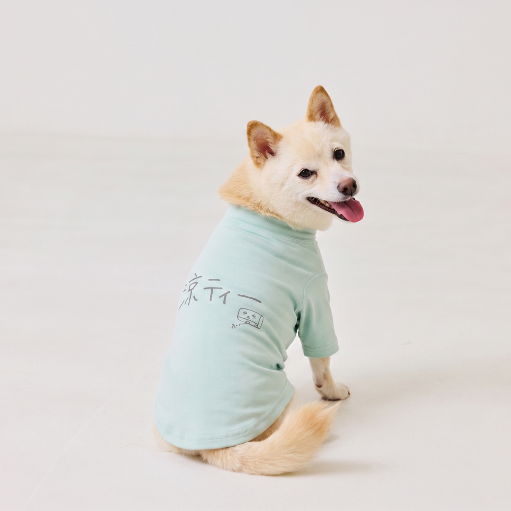 涼ティー ミントを着た犬