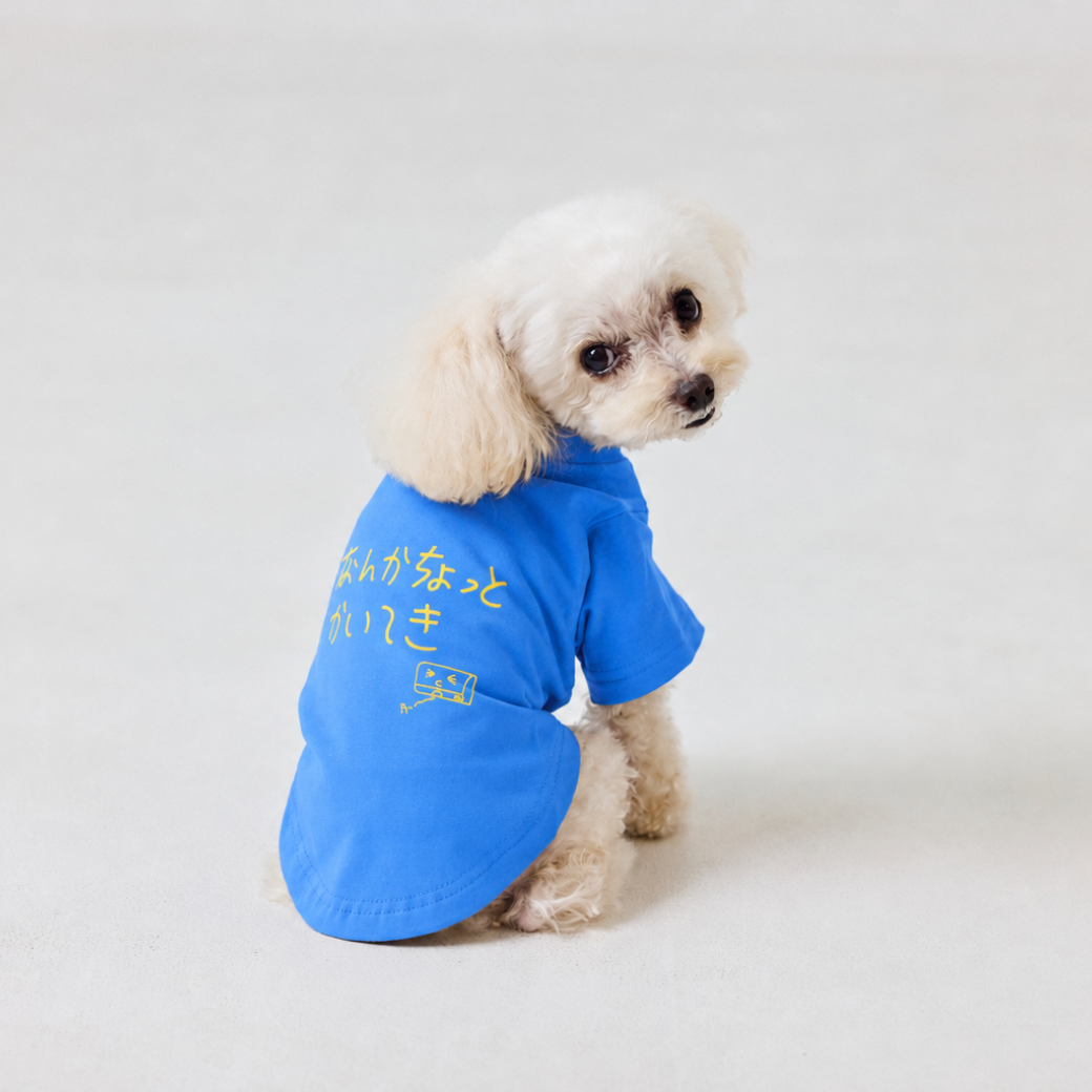 なんかちょっとかいてき ブルーを着た犬