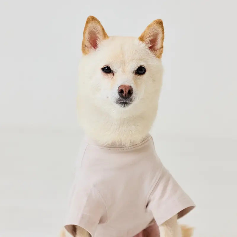 ここ掘れワンワン | ドッグウェア