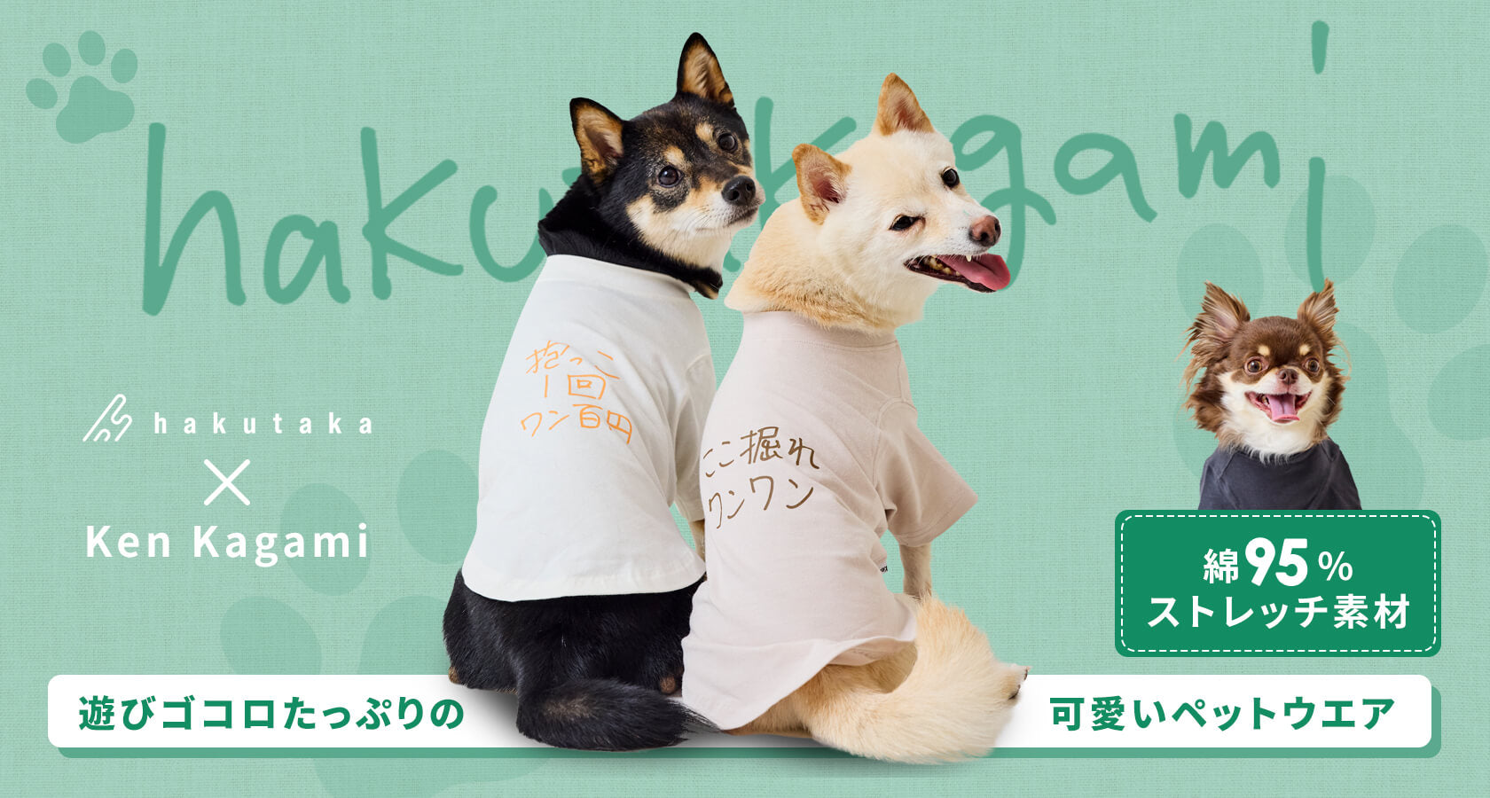 Dog Wear