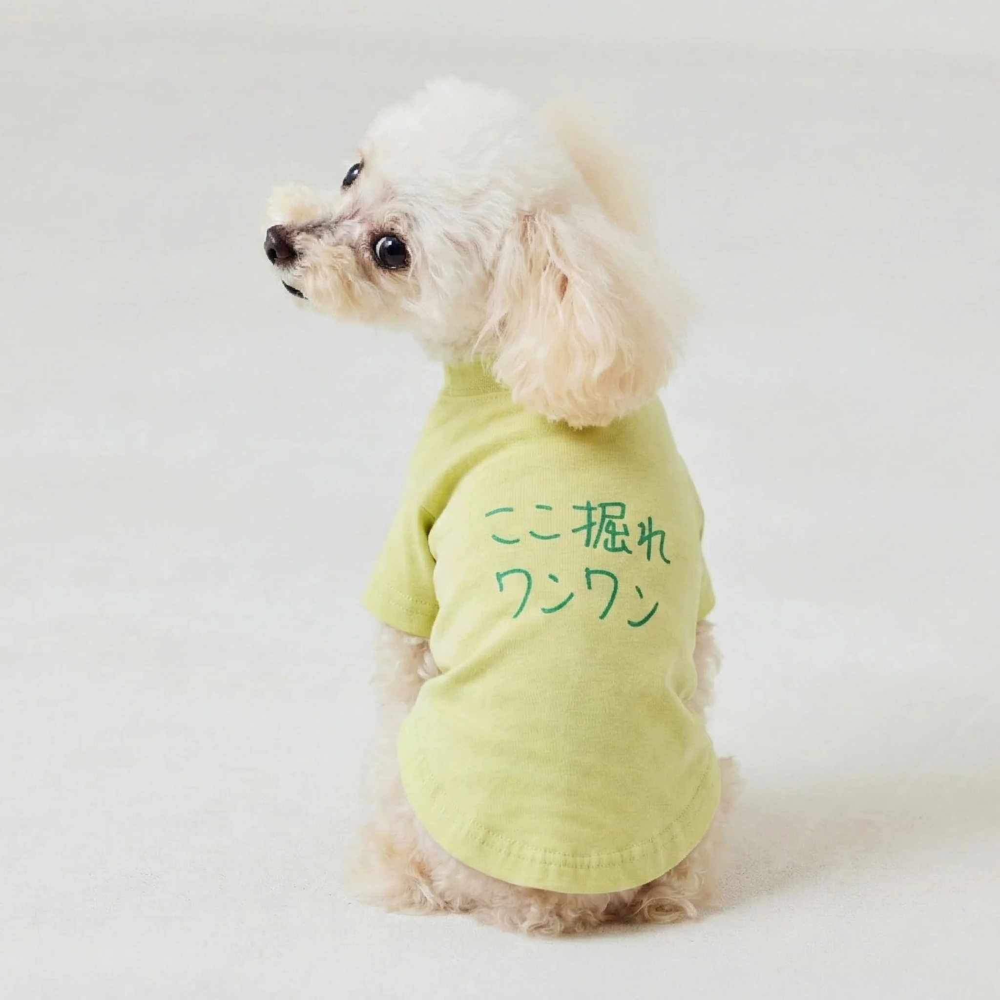 ここ掘れワンワン | ドッグウェア