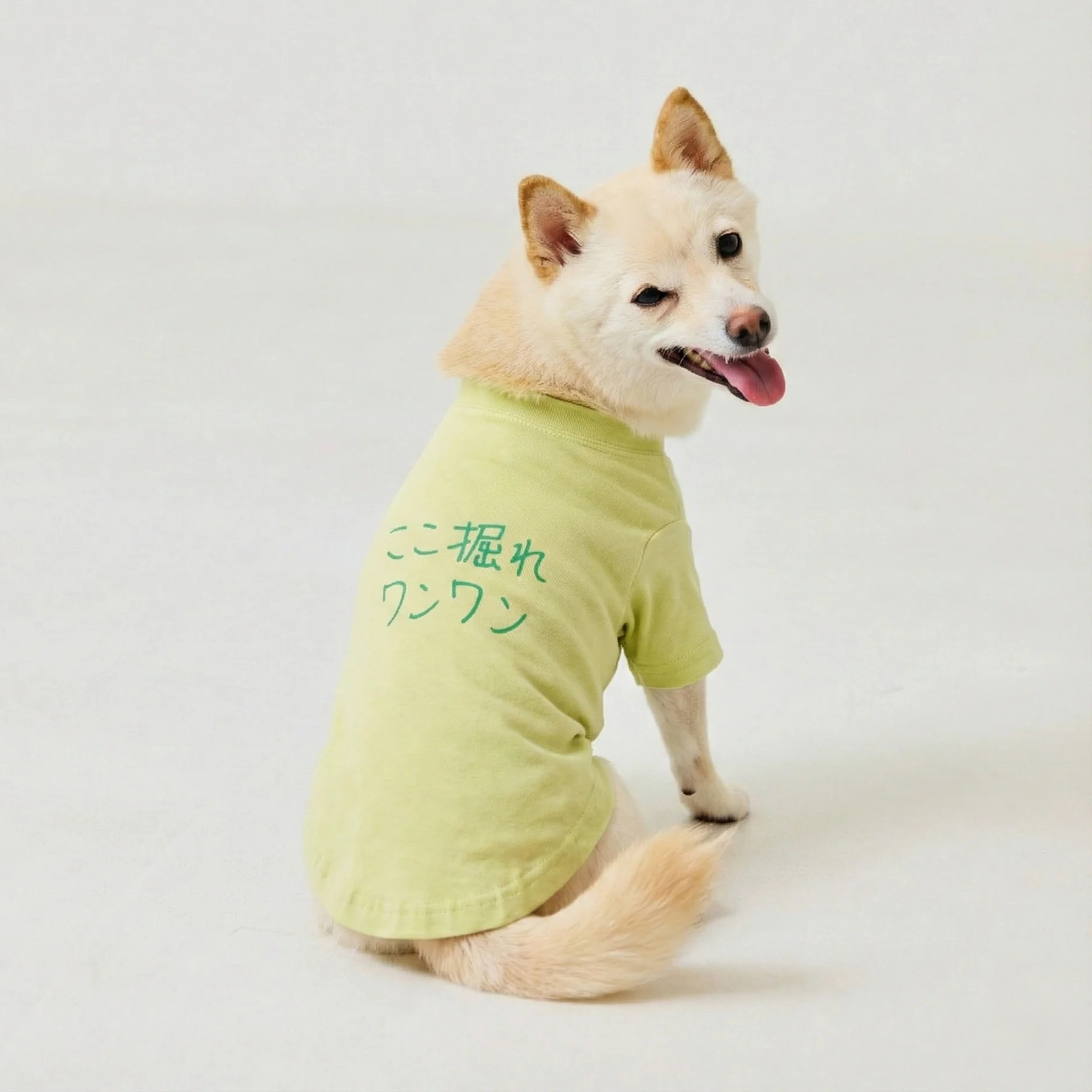 ここ掘れワンワン | ドッグウェア